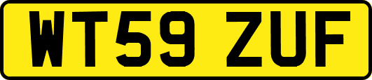 WT59ZUF