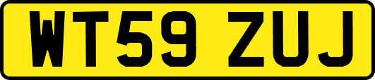 WT59ZUJ