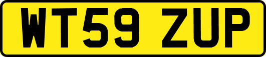 WT59ZUP