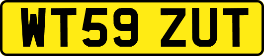 WT59ZUT