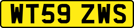 WT59ZWS