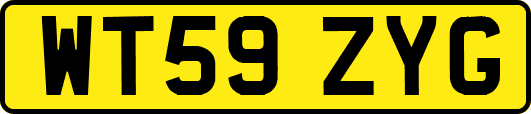 WT59ZYG