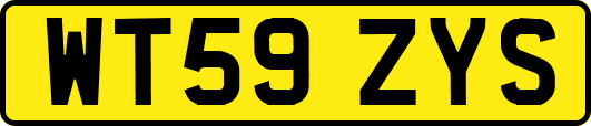 WT59ZYS