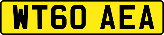 WT60AEA