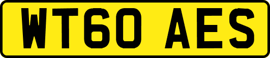 WT60AES