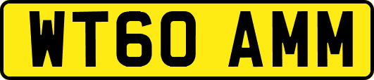 WT60AMM