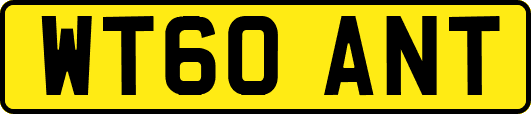 WT60ANT