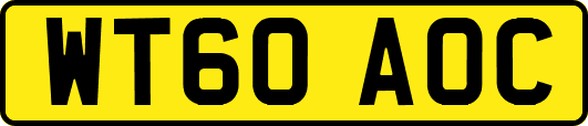 WT60AOC