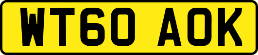 WT60AOK