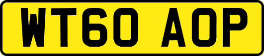 WT60AOP