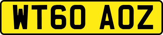 WT60AOZ