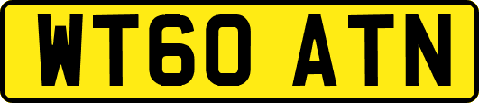 WT60ATN