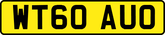 WT60AUO