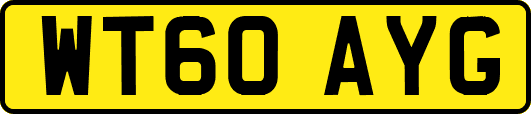 WT60AYG