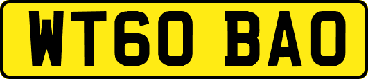 WT60BAO