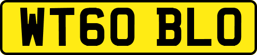WT60BLO