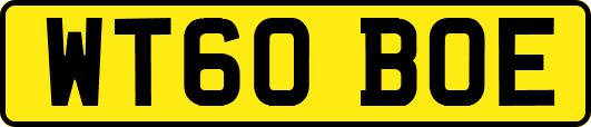 WT60BOE