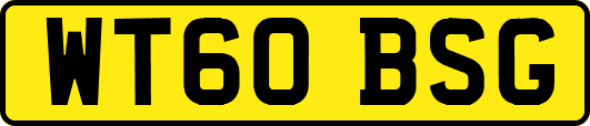 WT60BSG