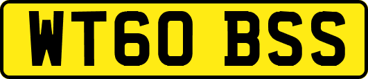 WT60BSS