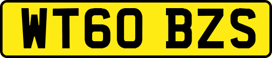 WT60BZS