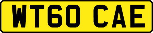 WT60CAE