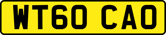 WT60CAO