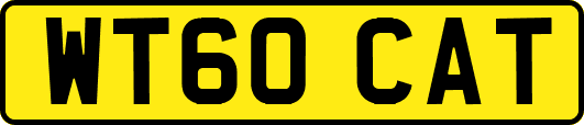 WT60CAT