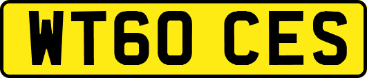 WT60CES