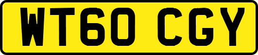 WT60CGY