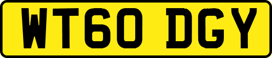 WT60DGY