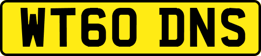 WT60DNS