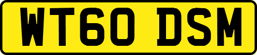 WT60DSM