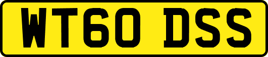 WT60DSS