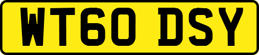 WT60DSY