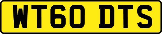 WT60DTS