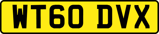 WT60DVX