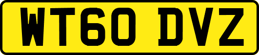 WT60DVZ