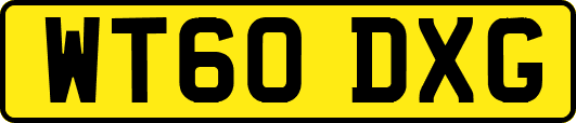 WT60DXG