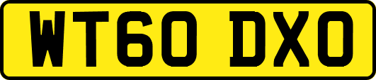 WT60DXO