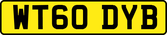 WT60DYB