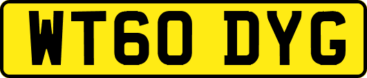 WT60DYG