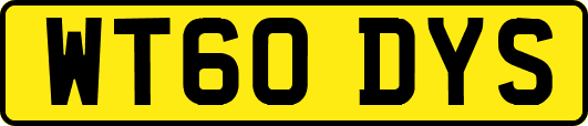 WT60DYS