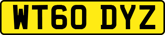 WT60DYZ
