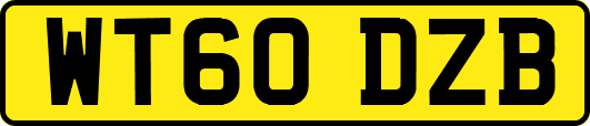 WT60DZB