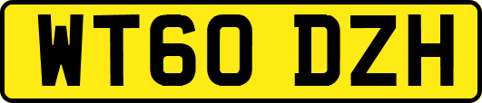 WT60DZH