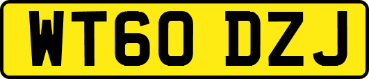 WT60DZJ