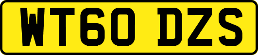 WT60DZS