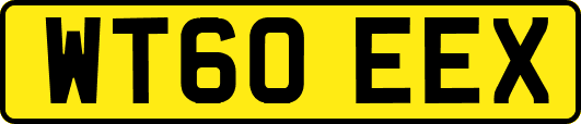 WT60EEX
