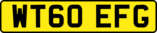 WT60EFG