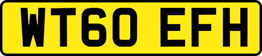 WT60EFH